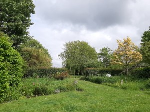 Ingrid Verbeek_tuin