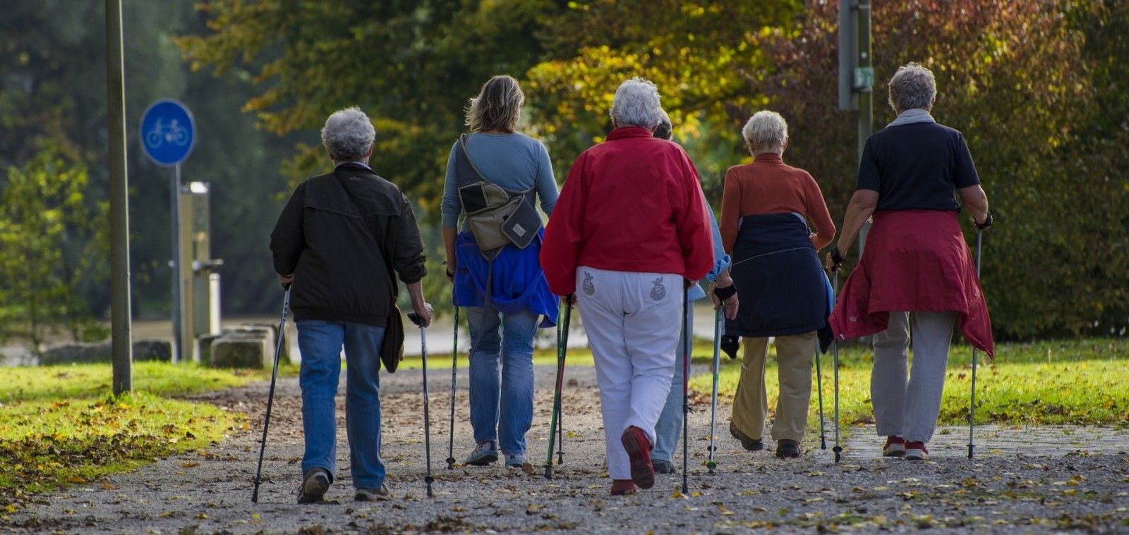 nordic-walking-1814784_1920.jpg