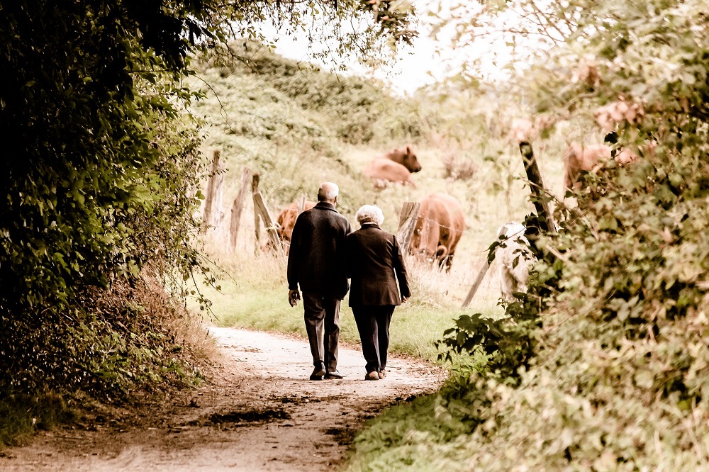 Wandelen - kopie.jpg