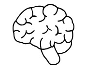 hersenen.png