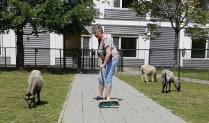 Els_Haring_vegen
