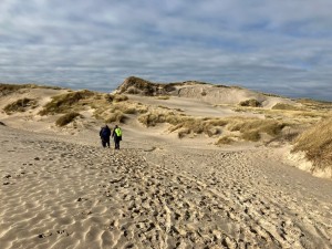 strand2