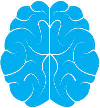 hersenen-png