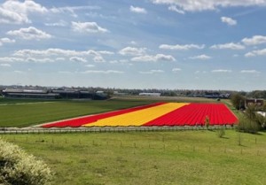 Noordwijk