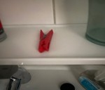 Wasknijper
