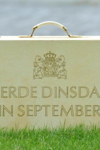 Een close-up van het koffertje van Prinsjesdag in het gras.