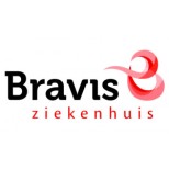 logo bravis