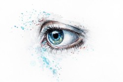 Oog