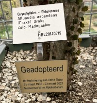 Afbeelding5