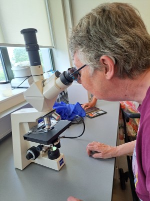 Els_microscoop