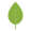65588_leaf_babylon_plant_icon