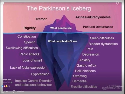 The Parkinson Iceberg